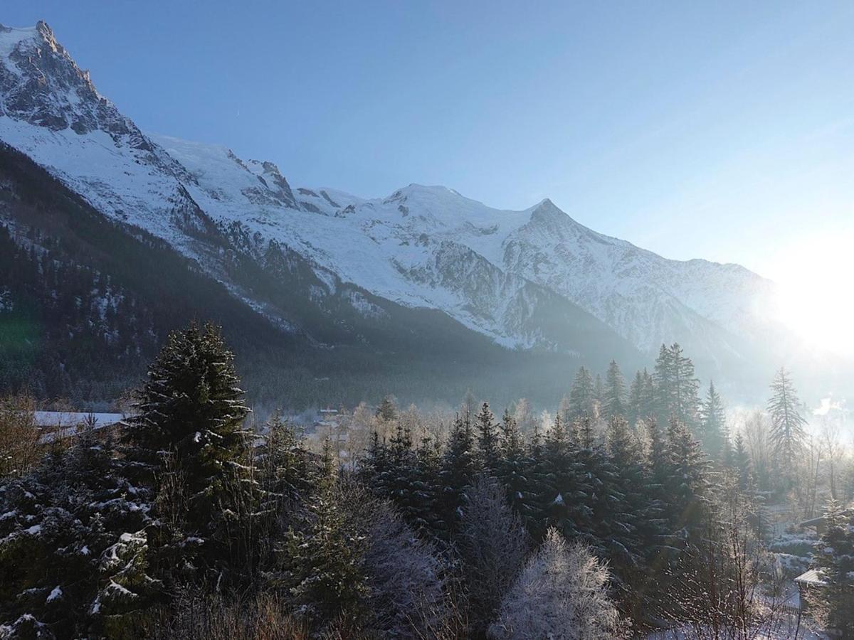 シャモニーT4 Renove Avec Vue Mont-Blanc, 4 Etoiles, Proche Centre, Parking - Fr-1-507-62アパートメント エクステリア 写真